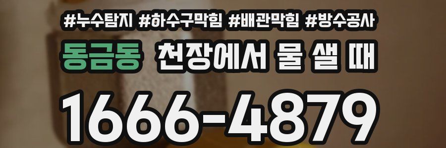 동금동 천장에서 물 샐 때