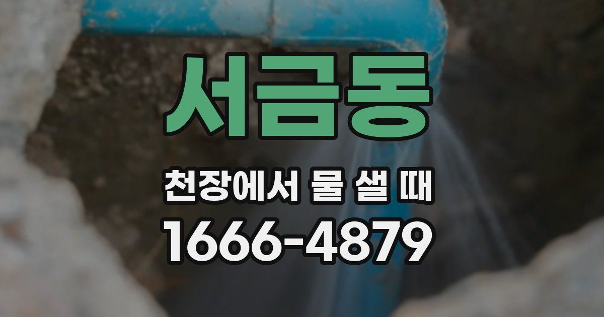 서금동 천장에서 물 샐 때