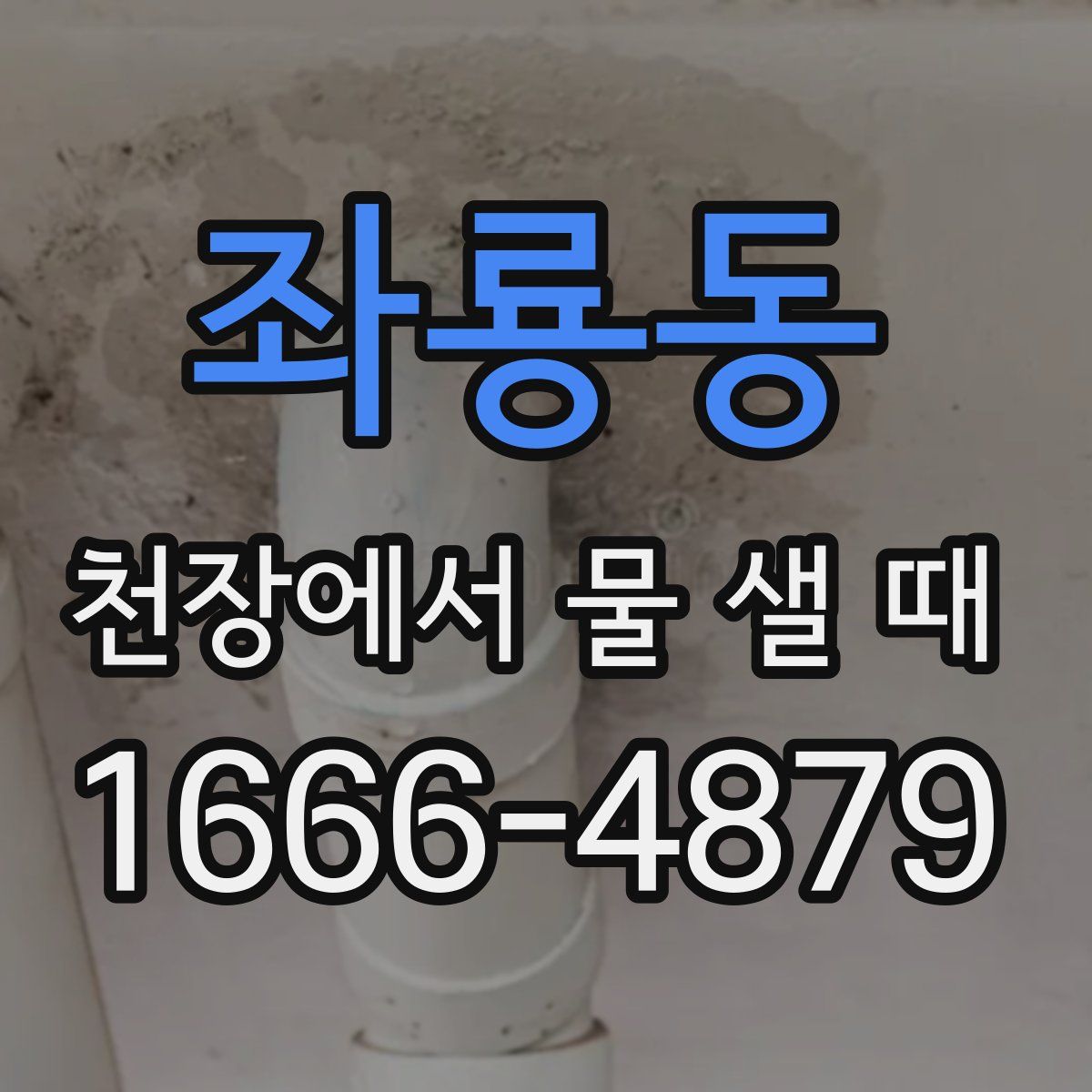 좌룡동 천장에서 물 샐 때