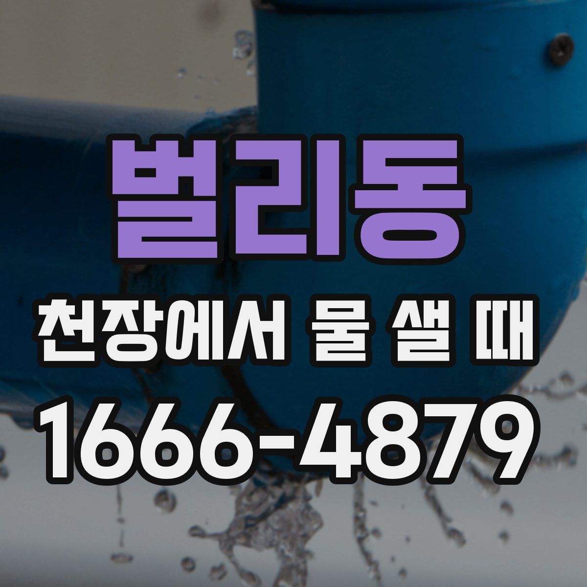 벌리동 천장에서 물 샐 때