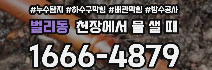 벌리동 천장에서 물 샐 때