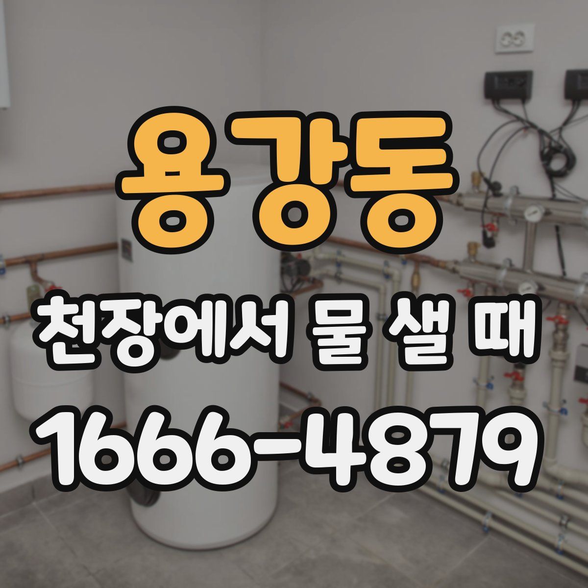 용강동 천장에서 물 샐 때