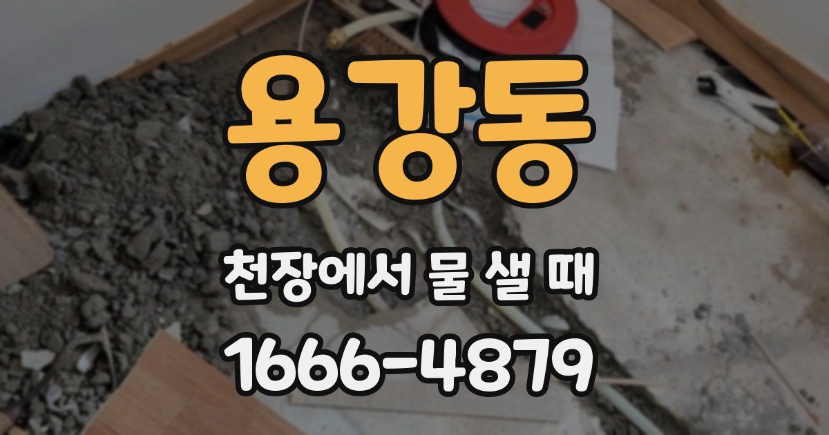 용강동 천장에서 물 샐 때