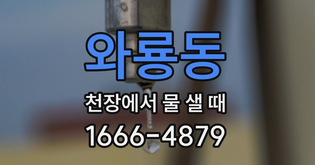 와룡동 천장에서 물 샐 때