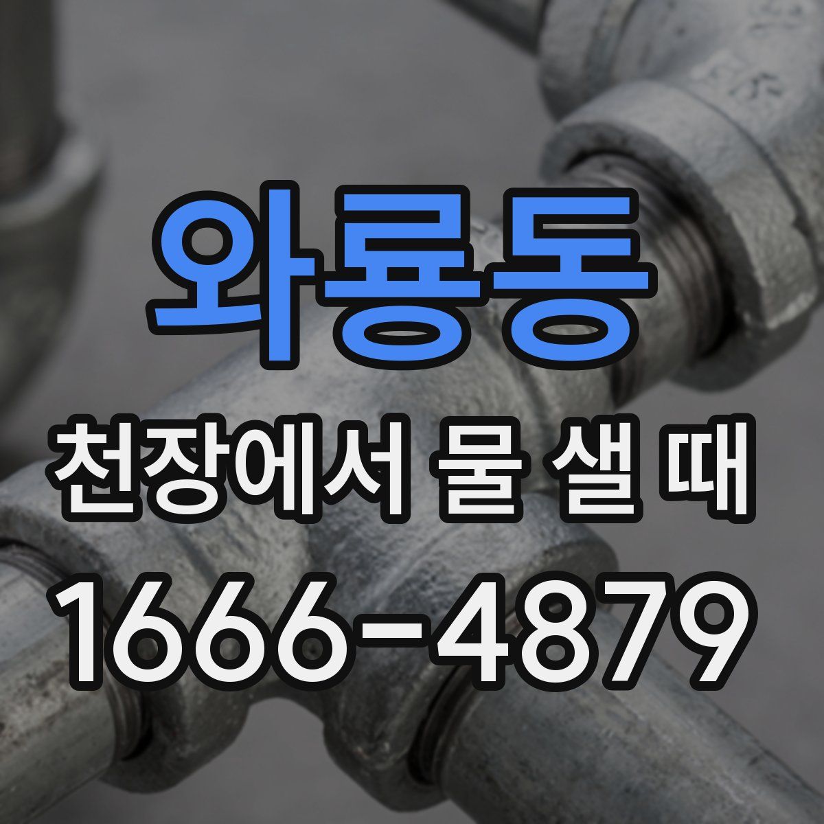 와룡동 천장에서 물 샐 때