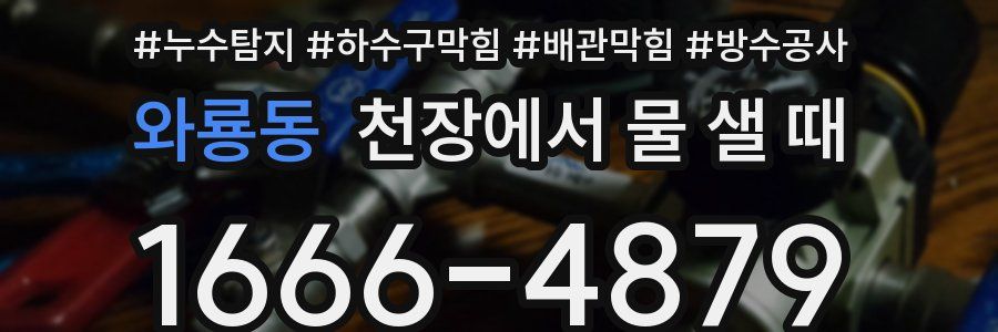 와룡동 천장에서 물 샐 때