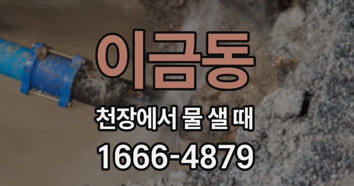 이금동 천장에서 물 샐 때