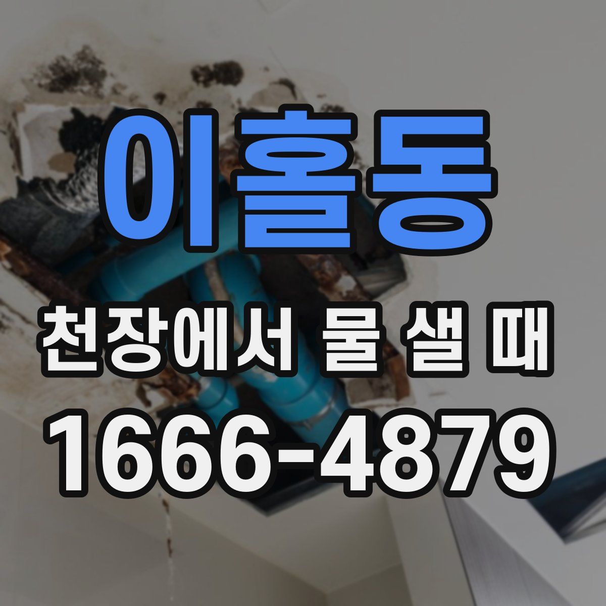 이홀동 천장에서 물 샐 때