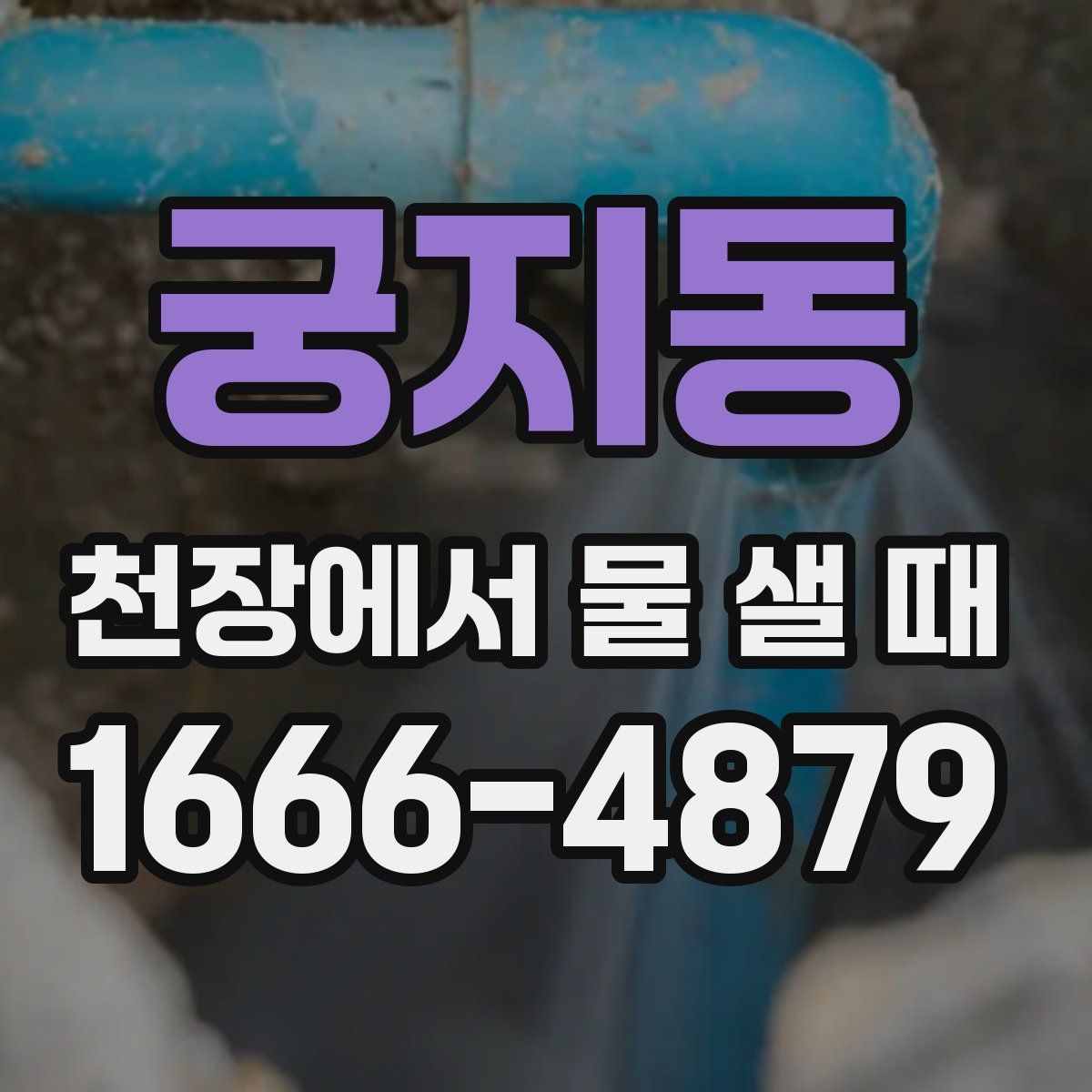 궁지동 천장에서 물 샐 때