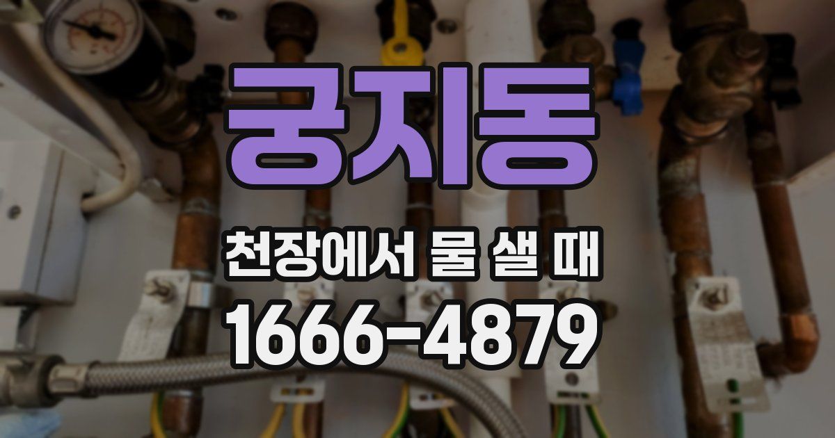 궁지동 천장에서 물 샐 때