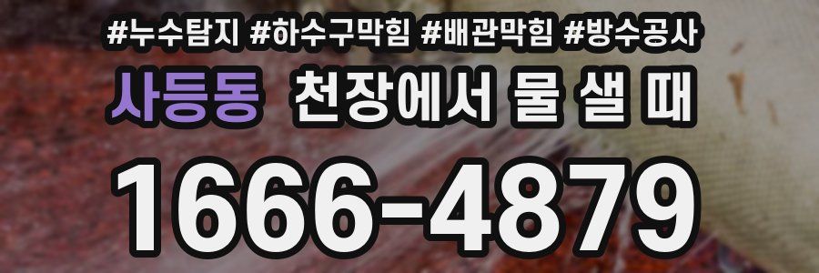 사등동 천장에서 물 샐 때