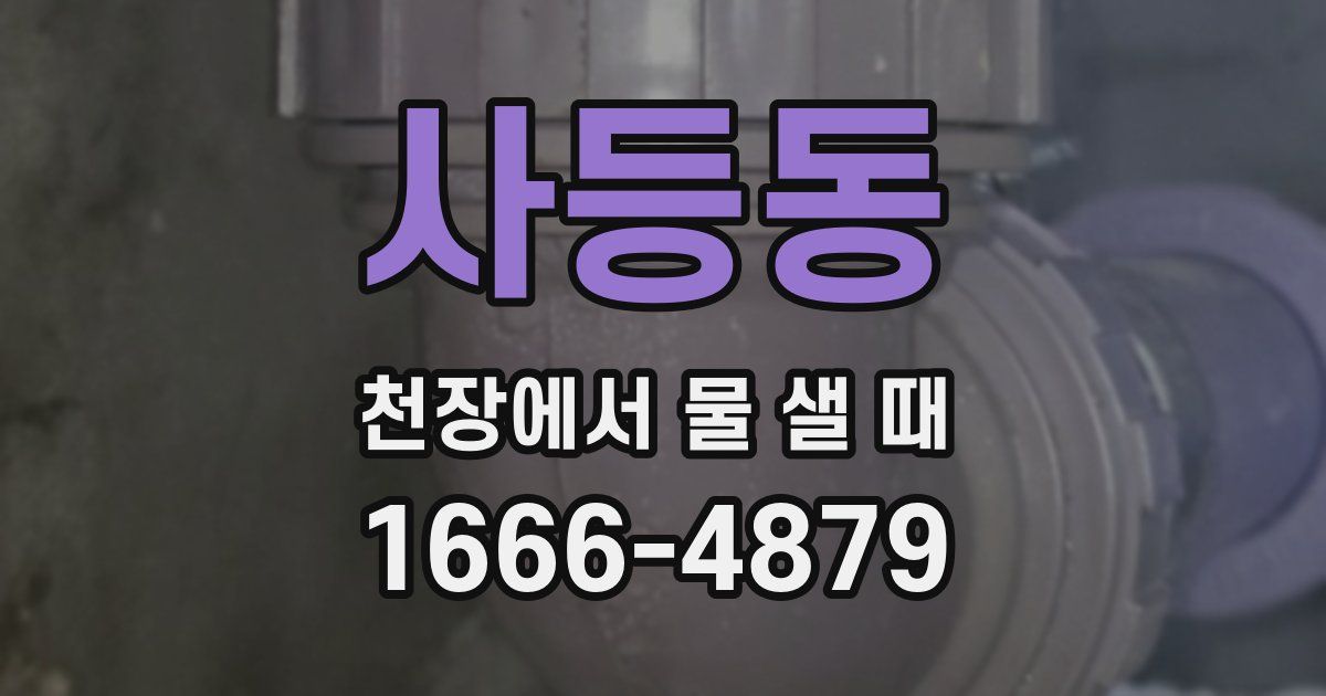 사등동 천장에서 물 샐 때