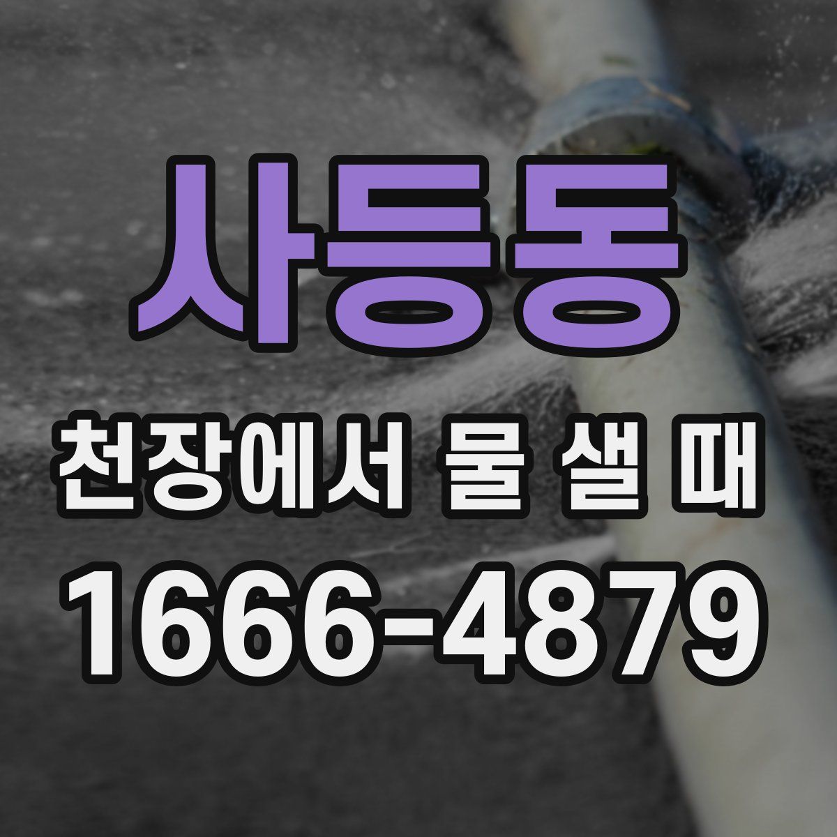 사등동 천장에서 물 샐 때