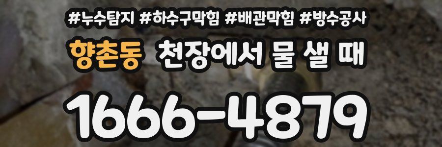 향촌동 천장에서 물 샐 때