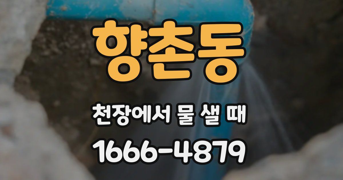 향촌동 천장에서 물 샐 때
