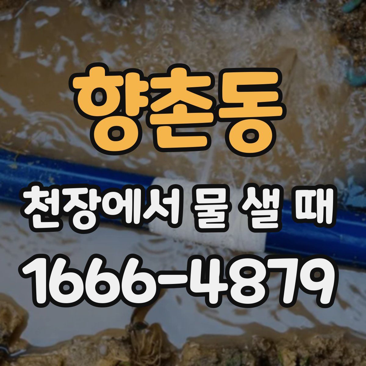 향촌동 천장에서 물 샐 때