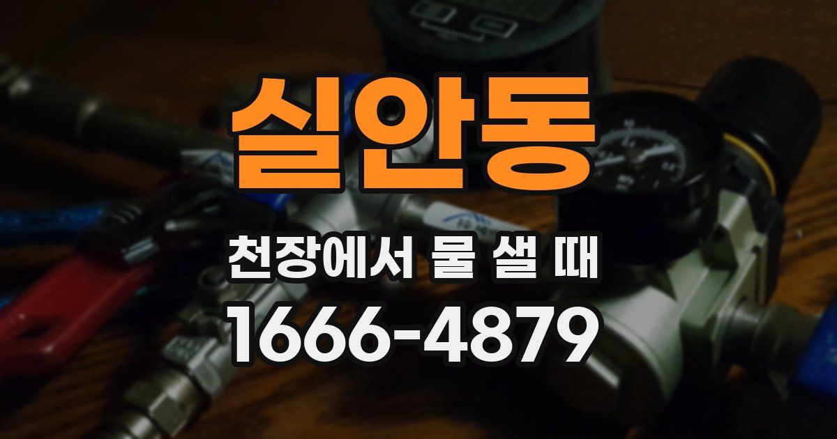 실안동 천장에서 물 샐 때