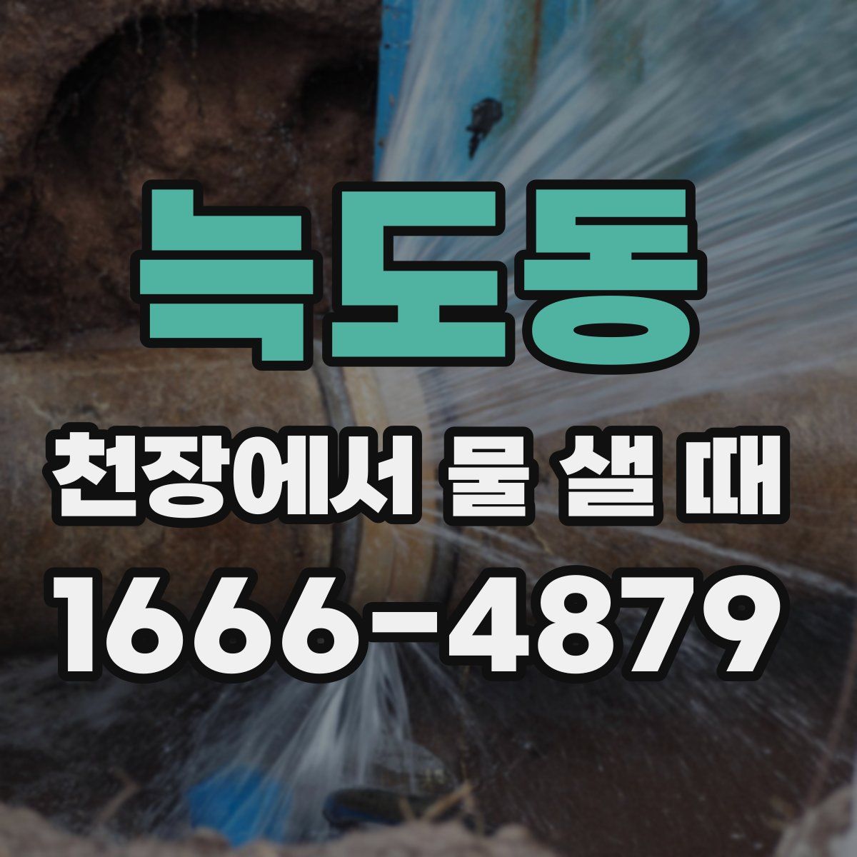 늑도동 천장에서 물 샐 때