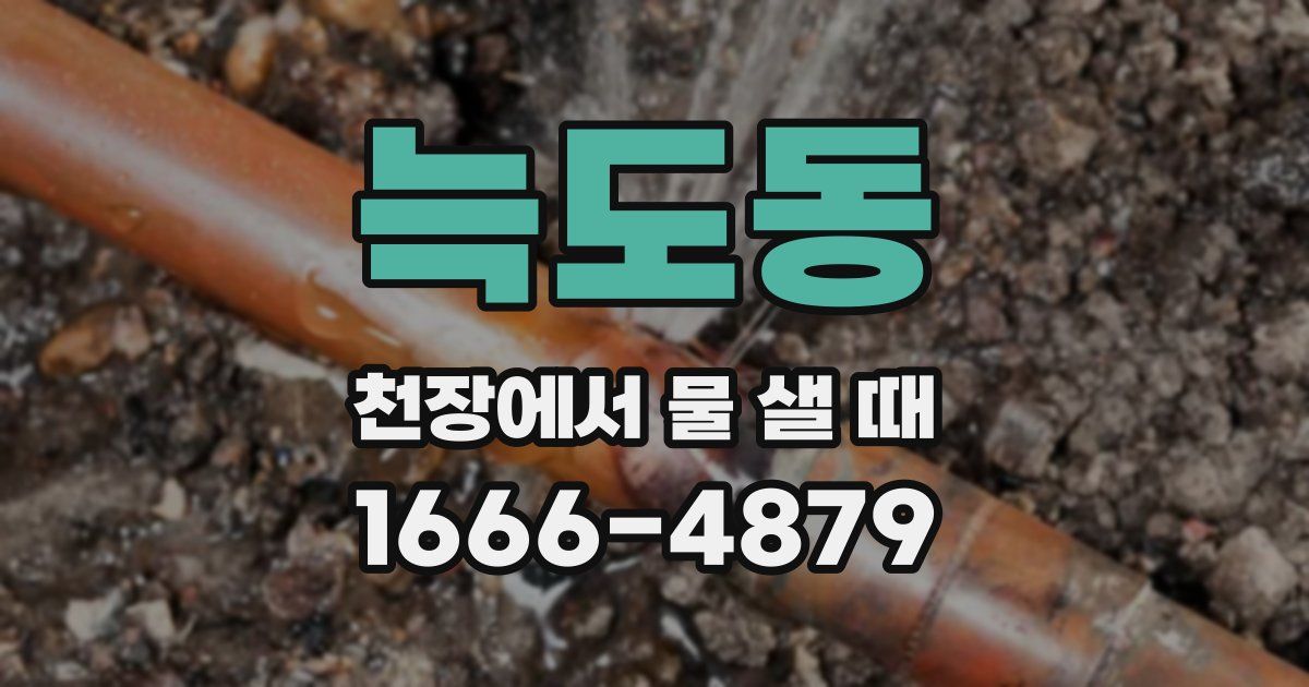 늑도동 천장에서 물 샐 때
