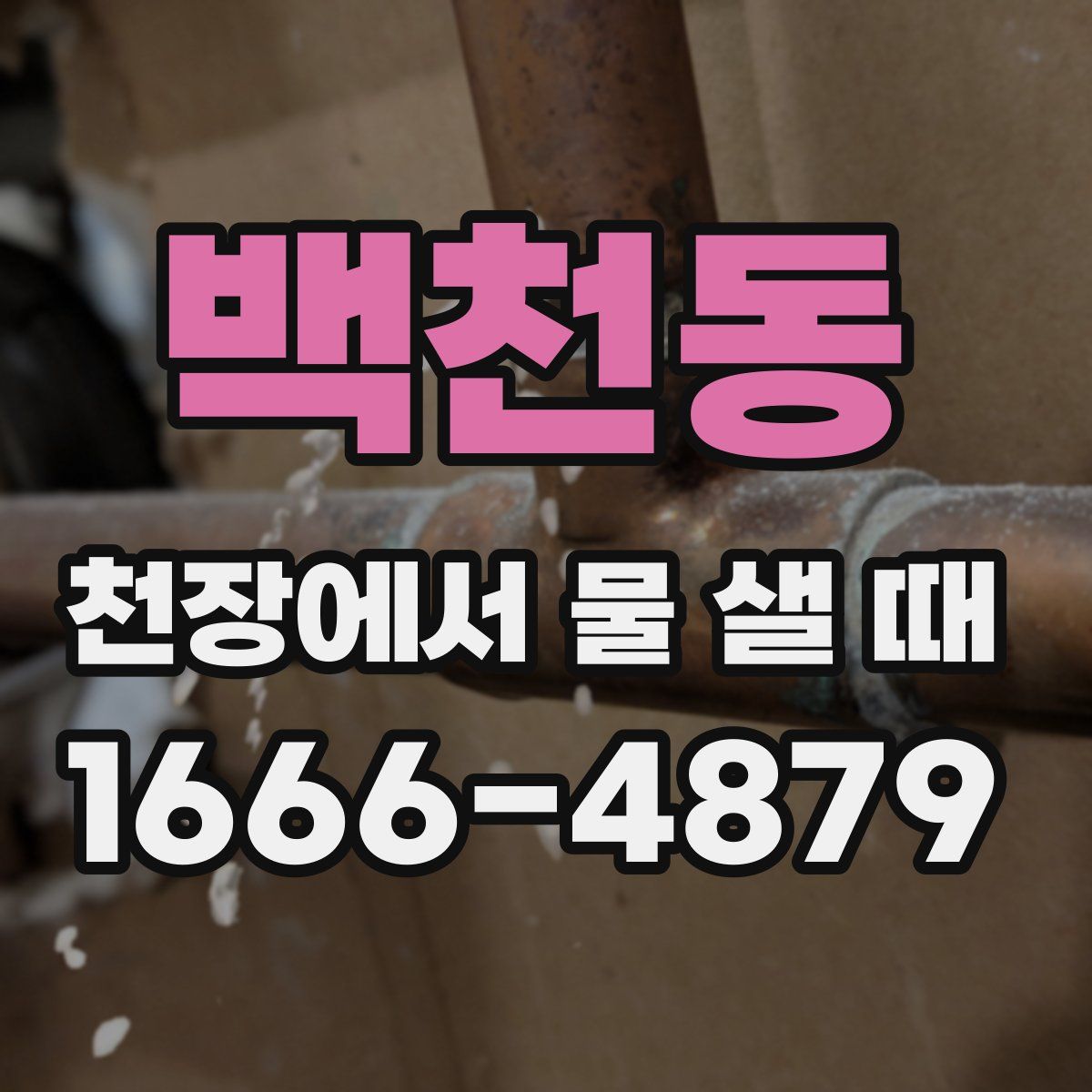 백천동 천장에서 물 샐 때