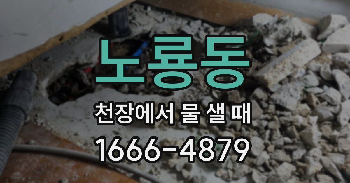 노룡동 천장에서 물 샐 때