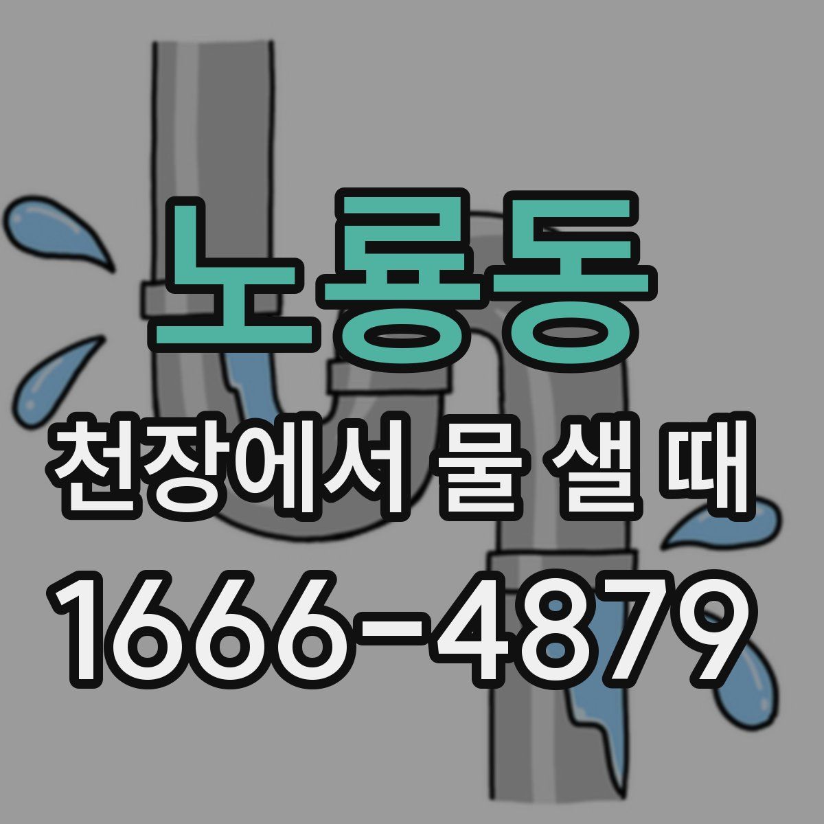 노룡동 천장에서 물 샐 때