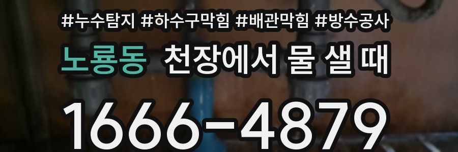 노룡동 천장에서 물 샐 때