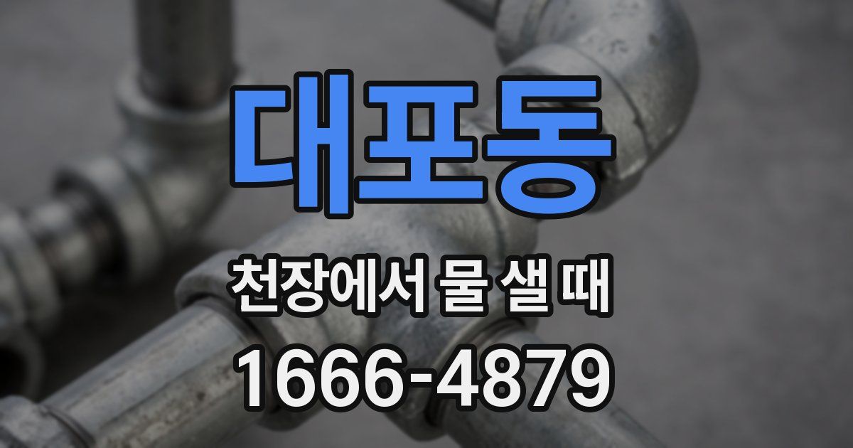대포동 천장에서 물 샐 때