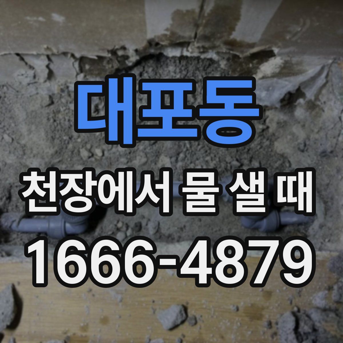 대포동 천장에서 물 샐 때