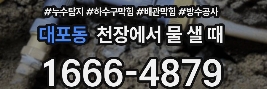 대포동 천장에서 물 샐 때
