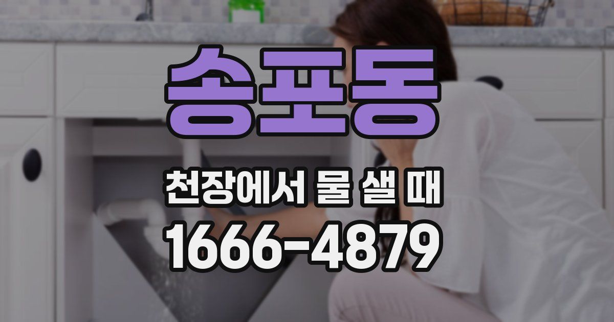 송포동 천장에서 물 샐 때