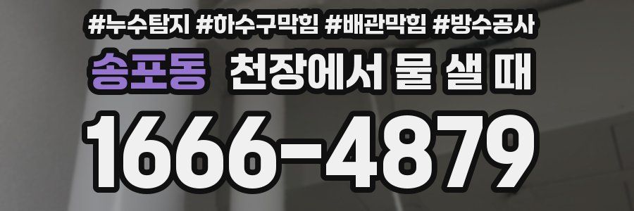 송포동 천장에서 물 샐 때