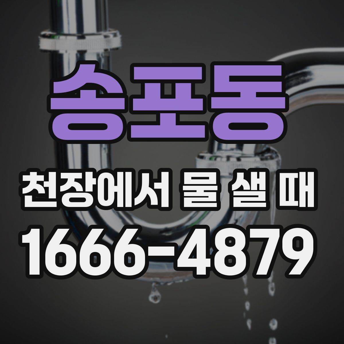 송포동 천장에서 물 샐 때