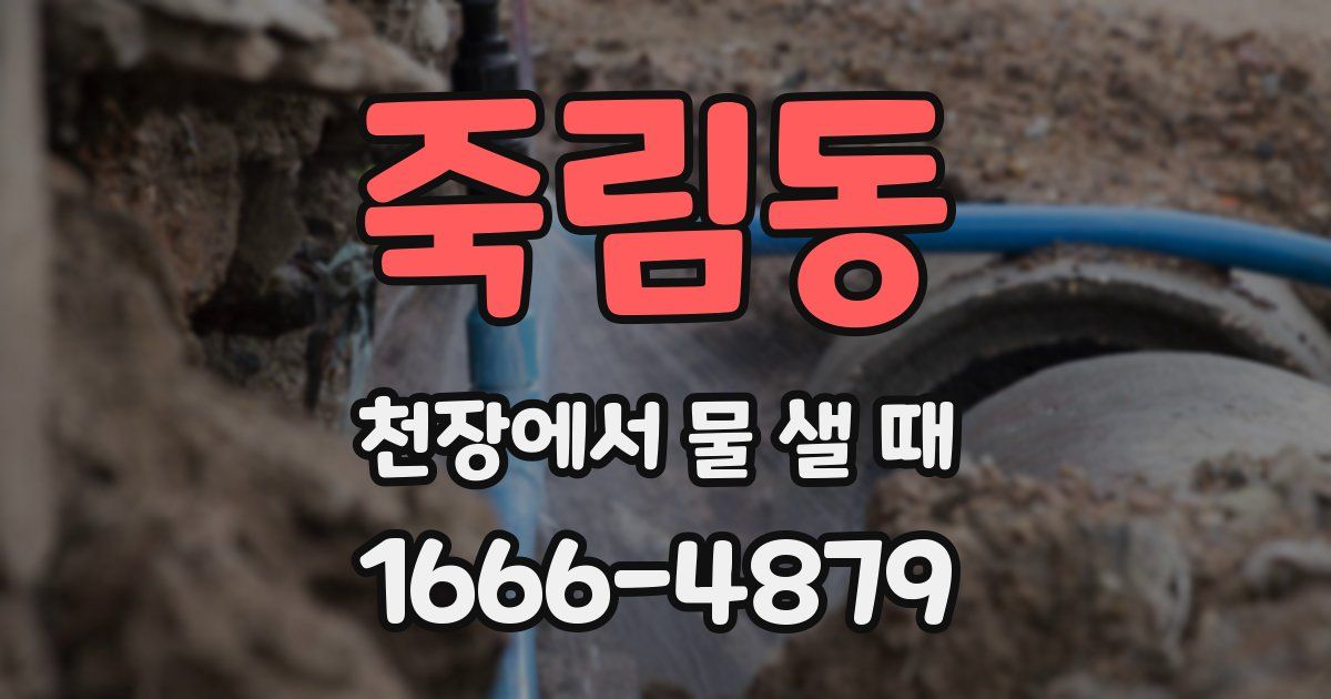 죽림동 천장에서 물 샐 때