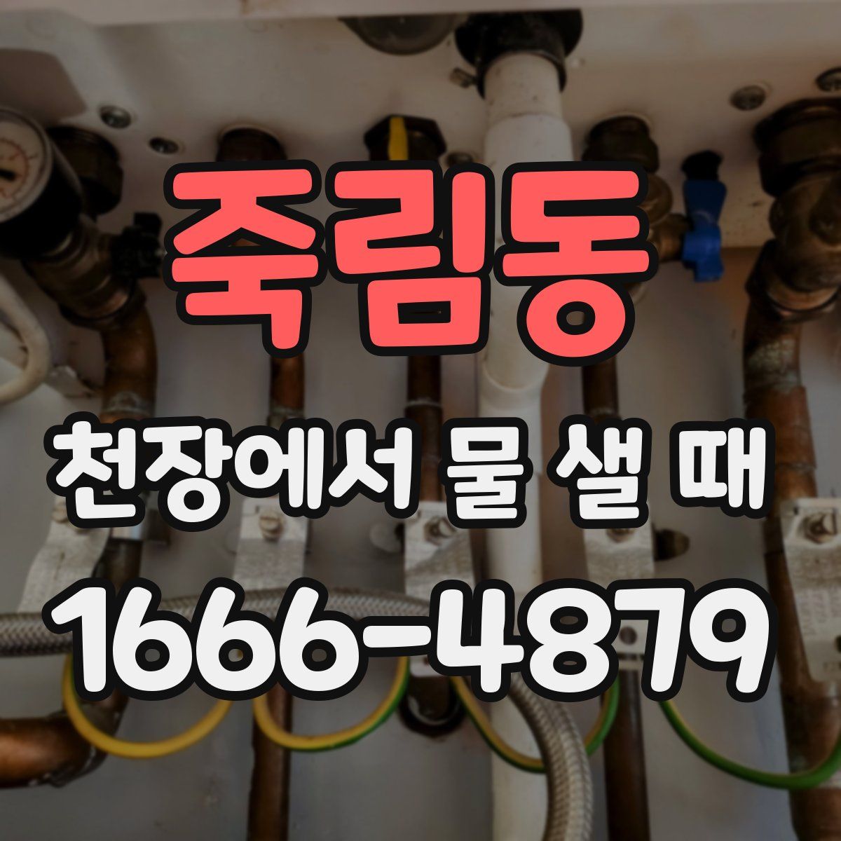 죽림동 천장에서 물 샐 때