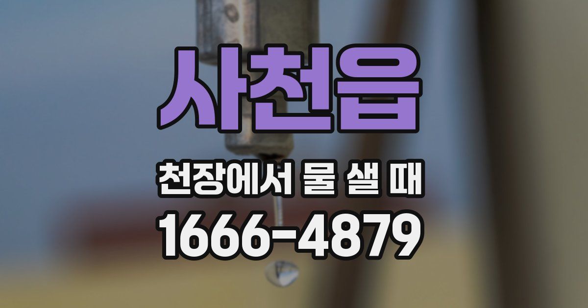 사천읍 천장에서 물 샐 때