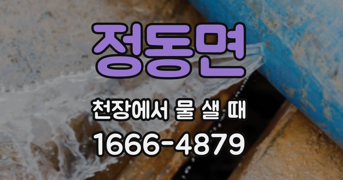 정동면 천장에서 물 샐 때