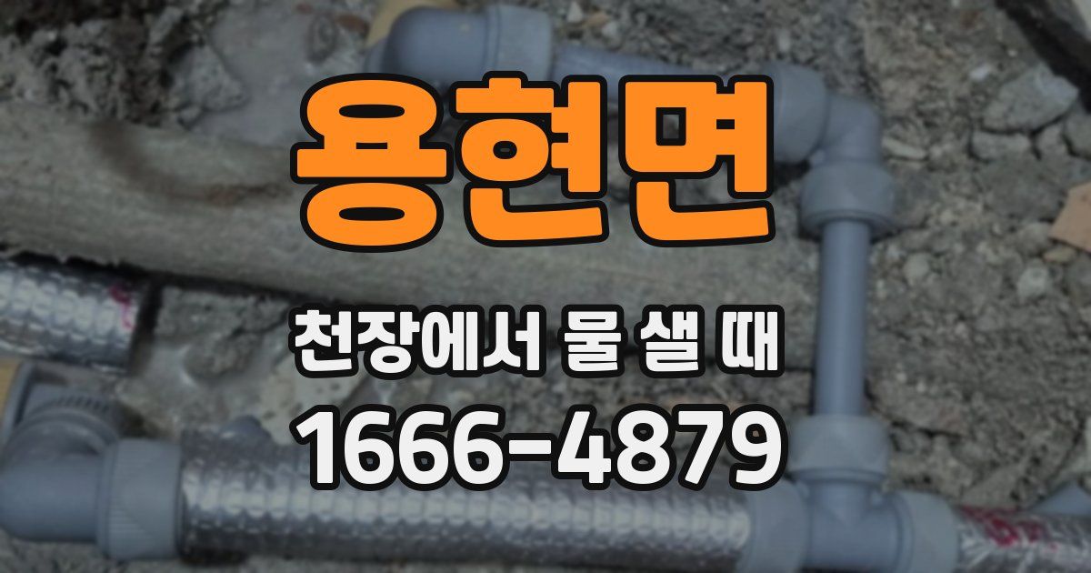 용현면 천장에서 물 샐 때