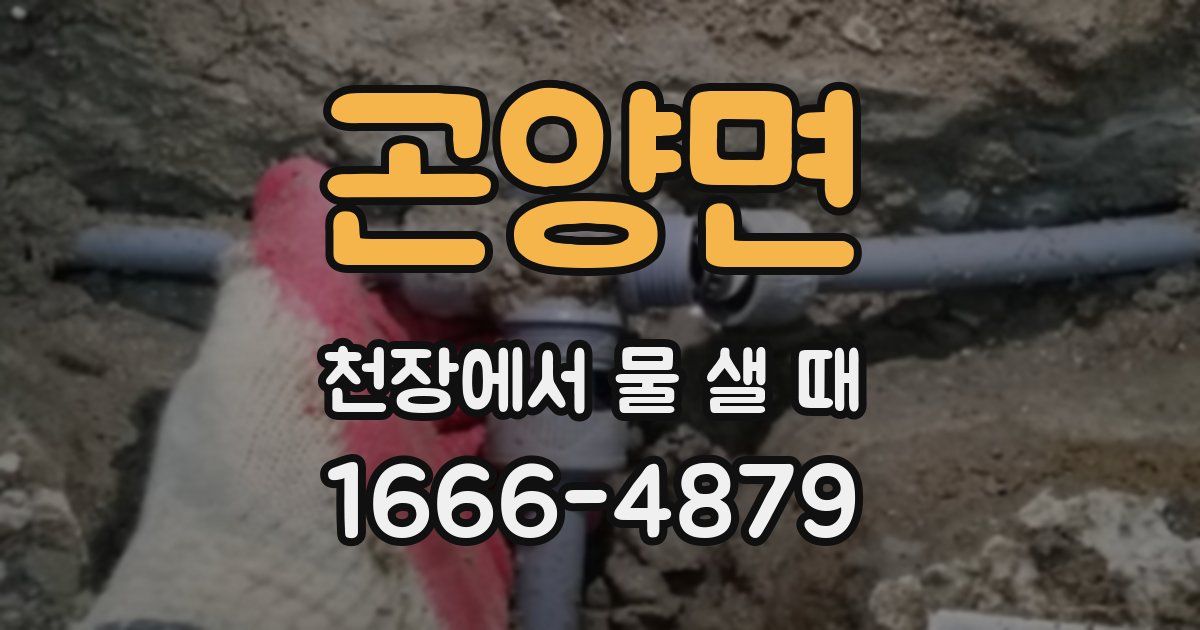 곤양면 천장에서 물 샐 때