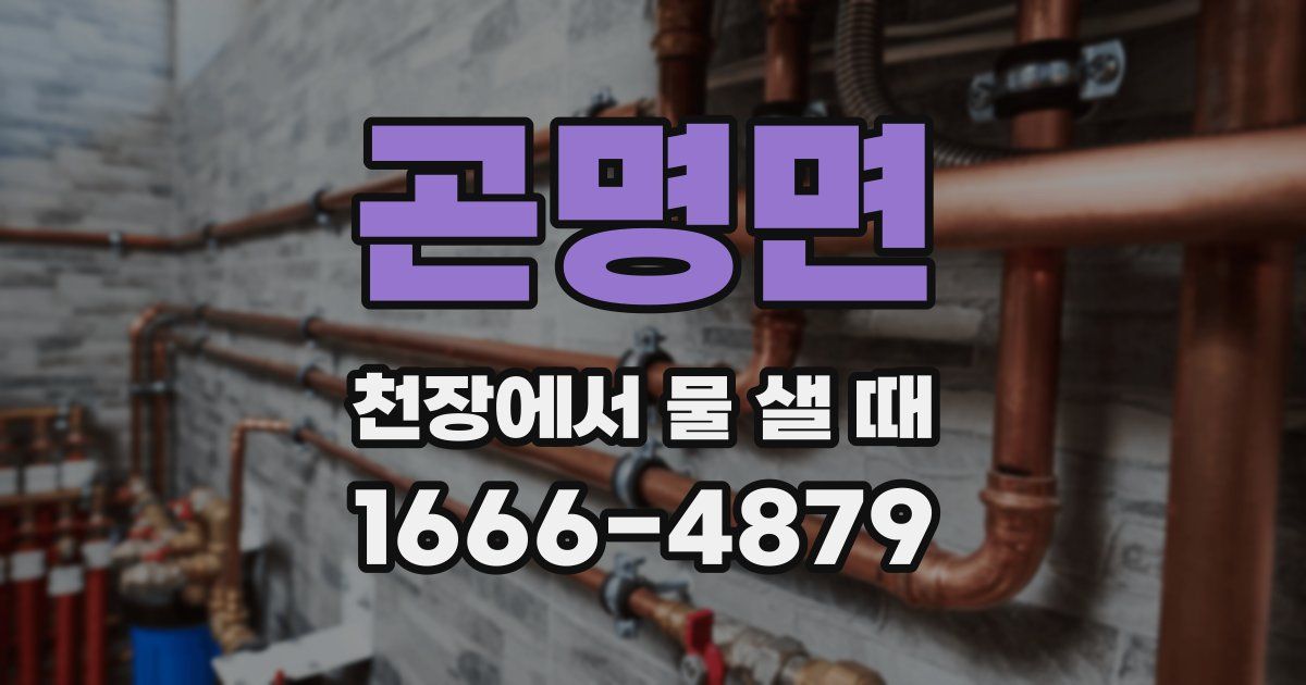 곤명면 천장에서 물 샐 때