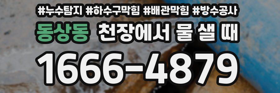 동상동 천장에서 물 샐 때