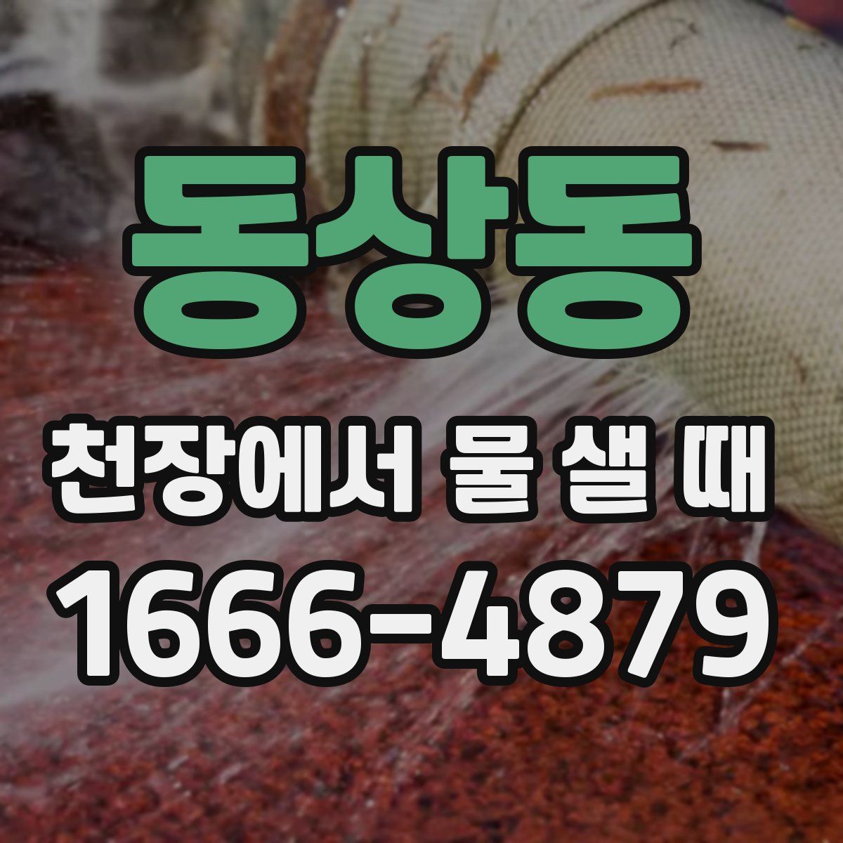동상동 천장에서 물 샐 때