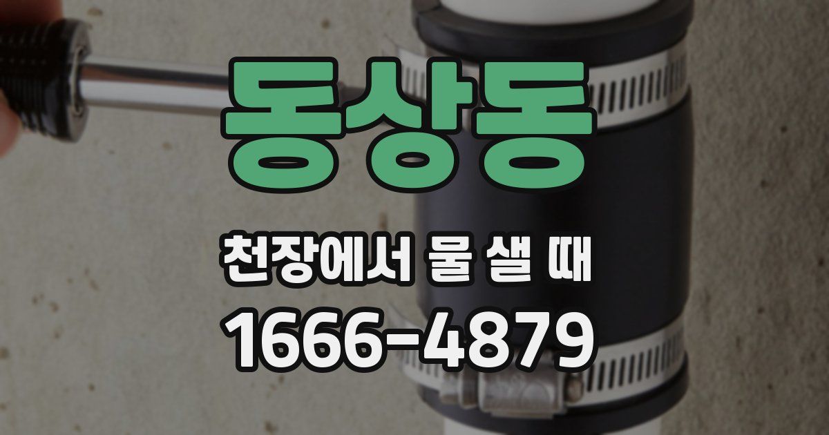 동상동 천장에서 물 샐 때
