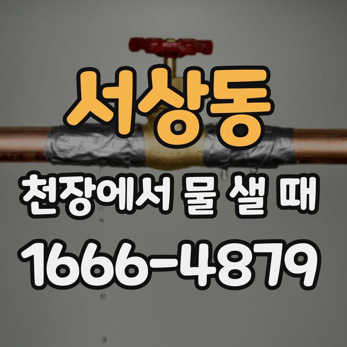 서상동 천장에서 물 샐 때