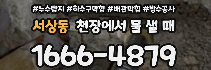 서상동 천장에서 물 샐 때