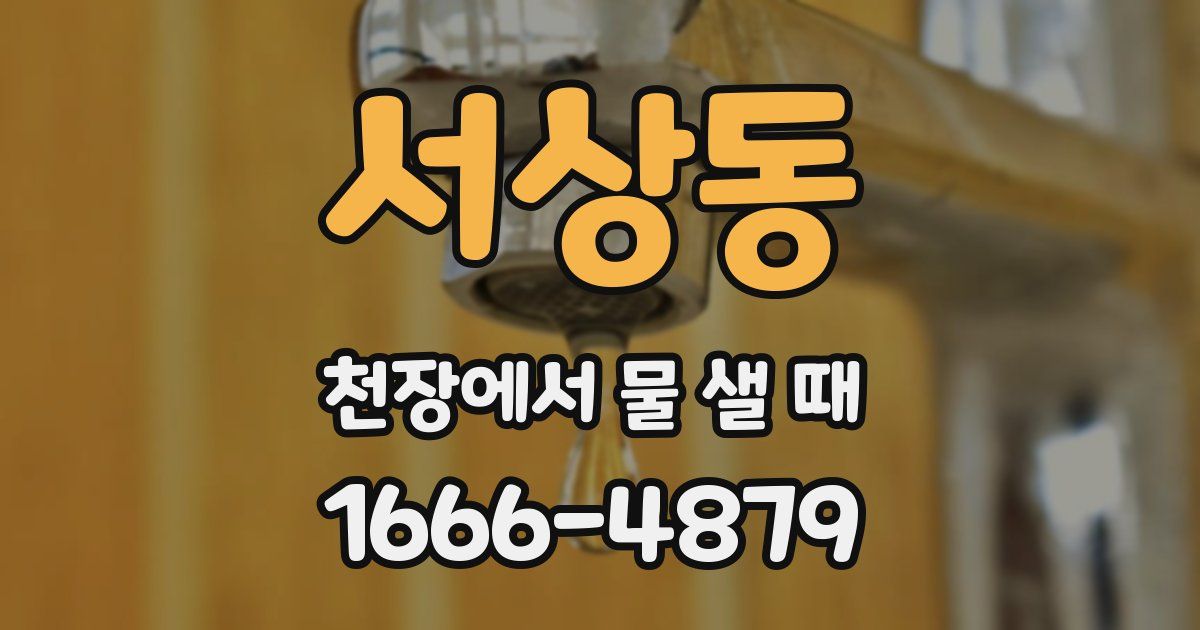 서상동 천장에서 물 샐 때