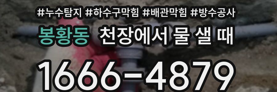 봉황동 천장에서 물 샐 때