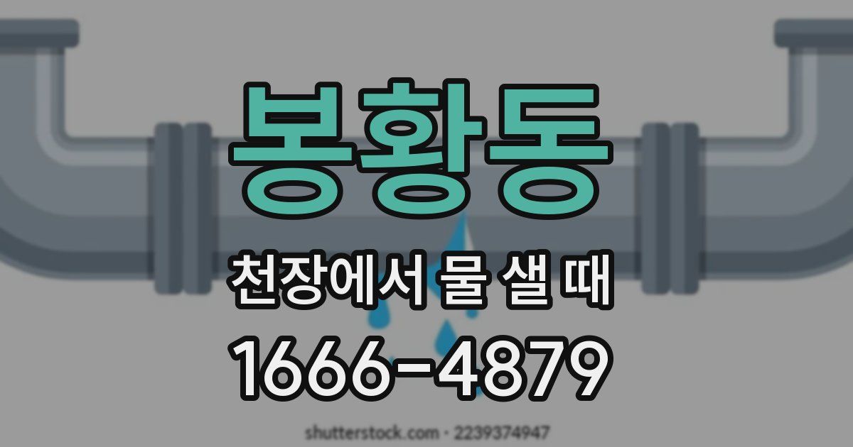봉황동 천장에서 물 샐 때