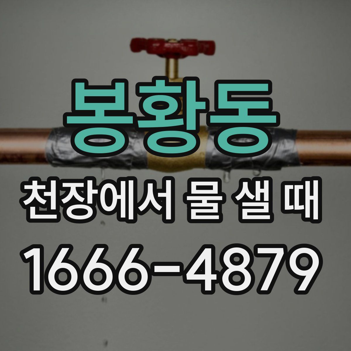봉황동 천장에서 물 샐 때