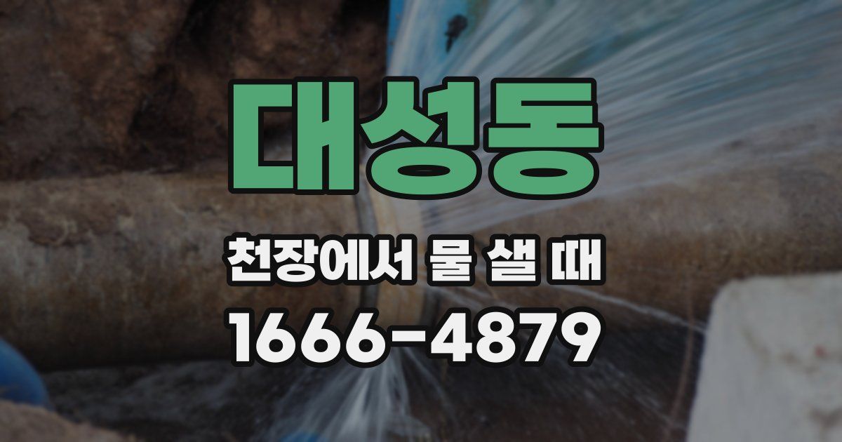 대성동 천장에서 물 샐 때
